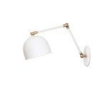 White with Brass Accents