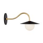 Matte Black with Brass
