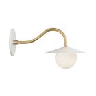 White with Brass