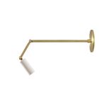 White with Brass