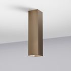 Bronze