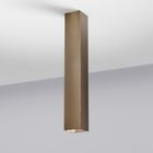 Bronze