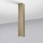 Brass