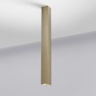 Brass