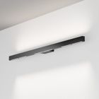 Brutanio