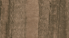 ROOT 677