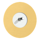 satin-matt-gold-en