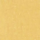 ORO BIS 10.2