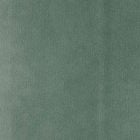 Blitum