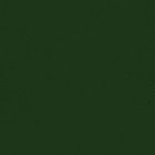 RAL 6020 Verde