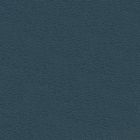 Air Force Blue