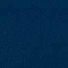 Polar Blue