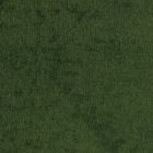 Moss