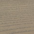 ASH MUD