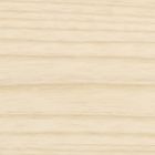 ASH IVORY