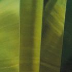 Topas green