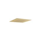 Brushed Brass