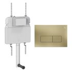 Brushed Brass