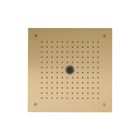 Brushed Brass