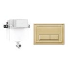 Brushed Brass