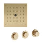 Brushed Brass