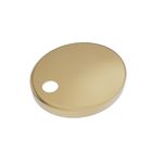 Brushed Brass