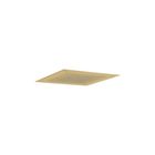 Brushed Brass