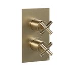 Brushed Brass