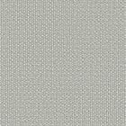 Dapple Grey