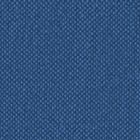 Aegean