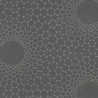Graphite