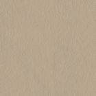 Malt