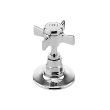 Polished nickel
