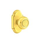 Polished Brass (US3)