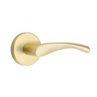 Satin Brass (US4)