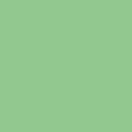 60 pistache (ral 6021)