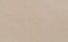Safari