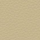 Leather 0180