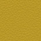 Leather 0116