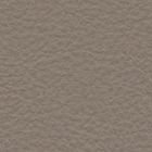Leather 0154
