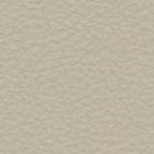 Leather 0190