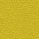 Leather 0493