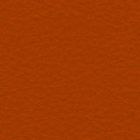 Leather 0125