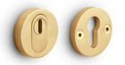 PVD satin gold