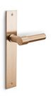 PVD light bronze