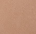 Fard nude 2334