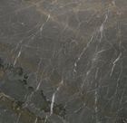 Stardust Grey
