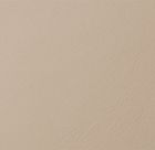 Fard tan 2305