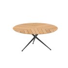 Teak
