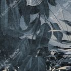 INKDYIY1902